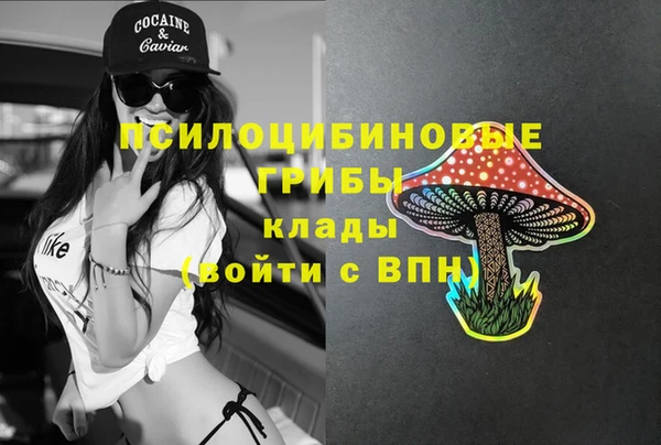 Альфа ПВП Баксан