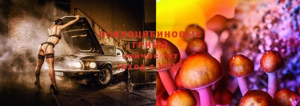марки nbome Белокуриха