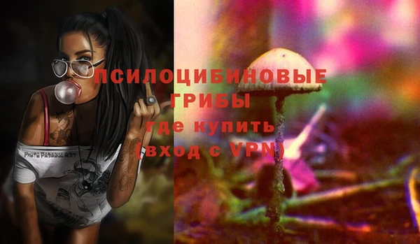 стафф Беломорск
